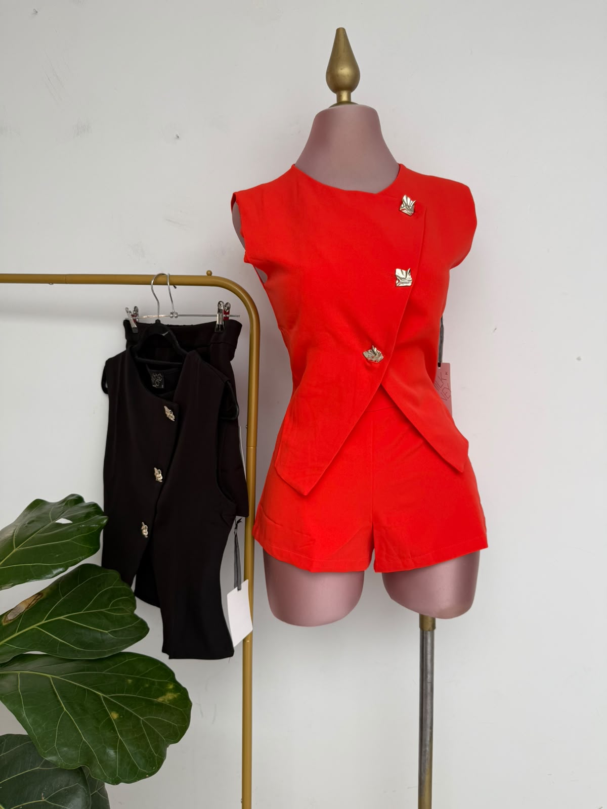 CONJUNTO 206